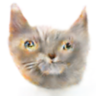 1675103743456.png