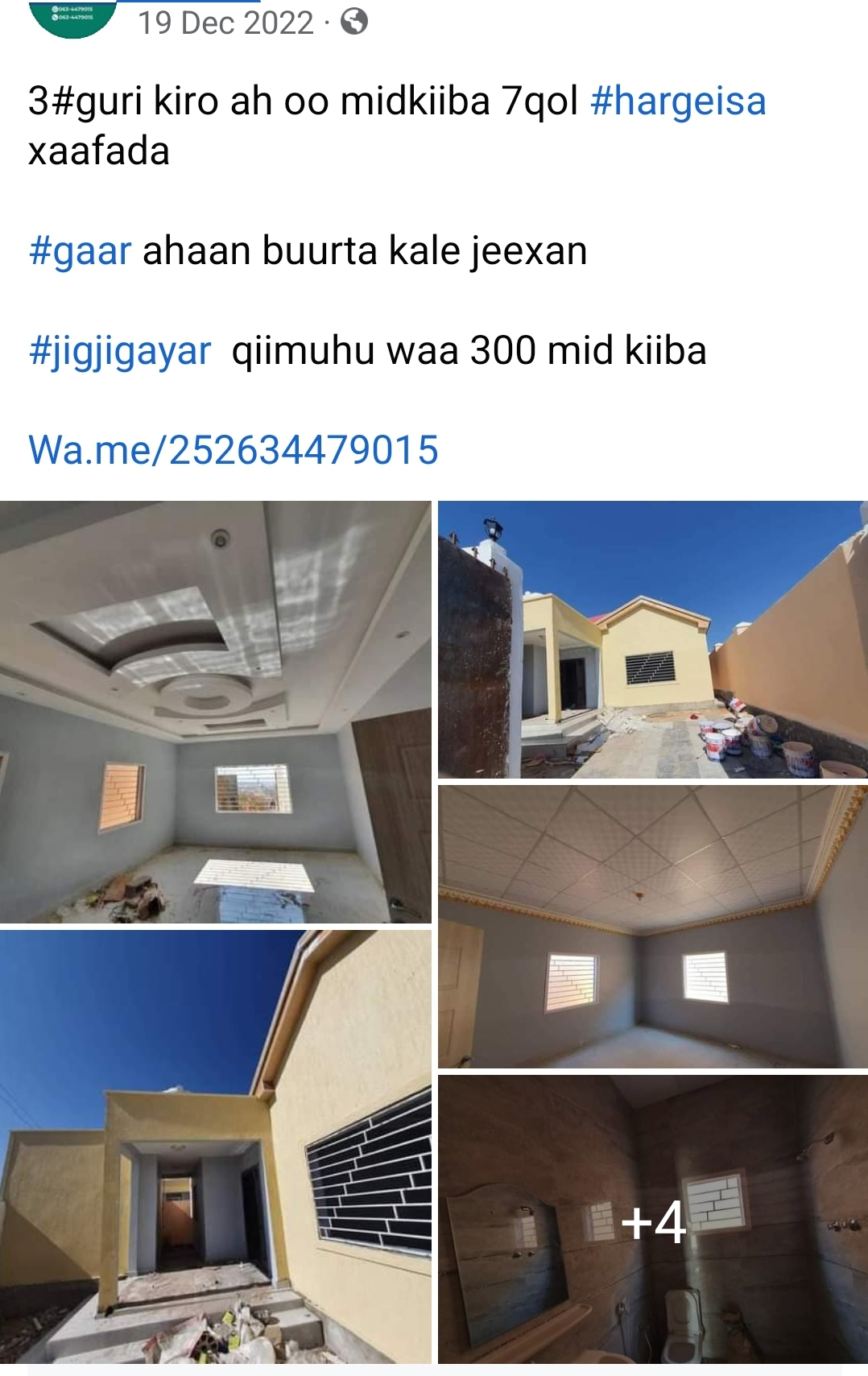 1675619318853.png
