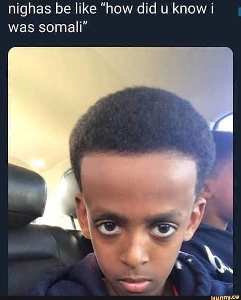 1676997956892.png