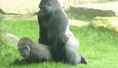 1677371216969.gif