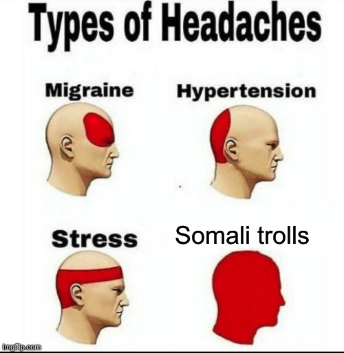 1677520485288.jpeg
