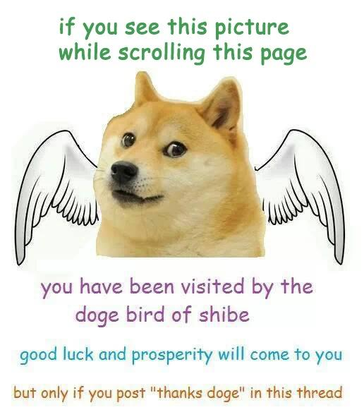 1677535526406.png