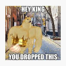 1678751426063.png
