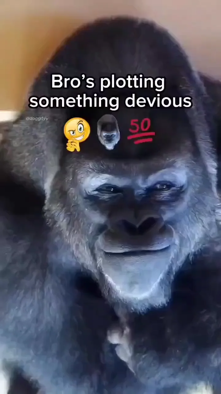 1679195360099.png