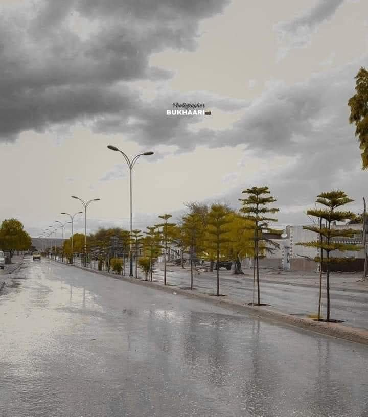 1679228913536.png