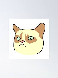 1679323945939.png