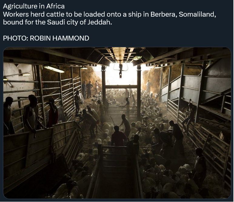 1679562484770.png