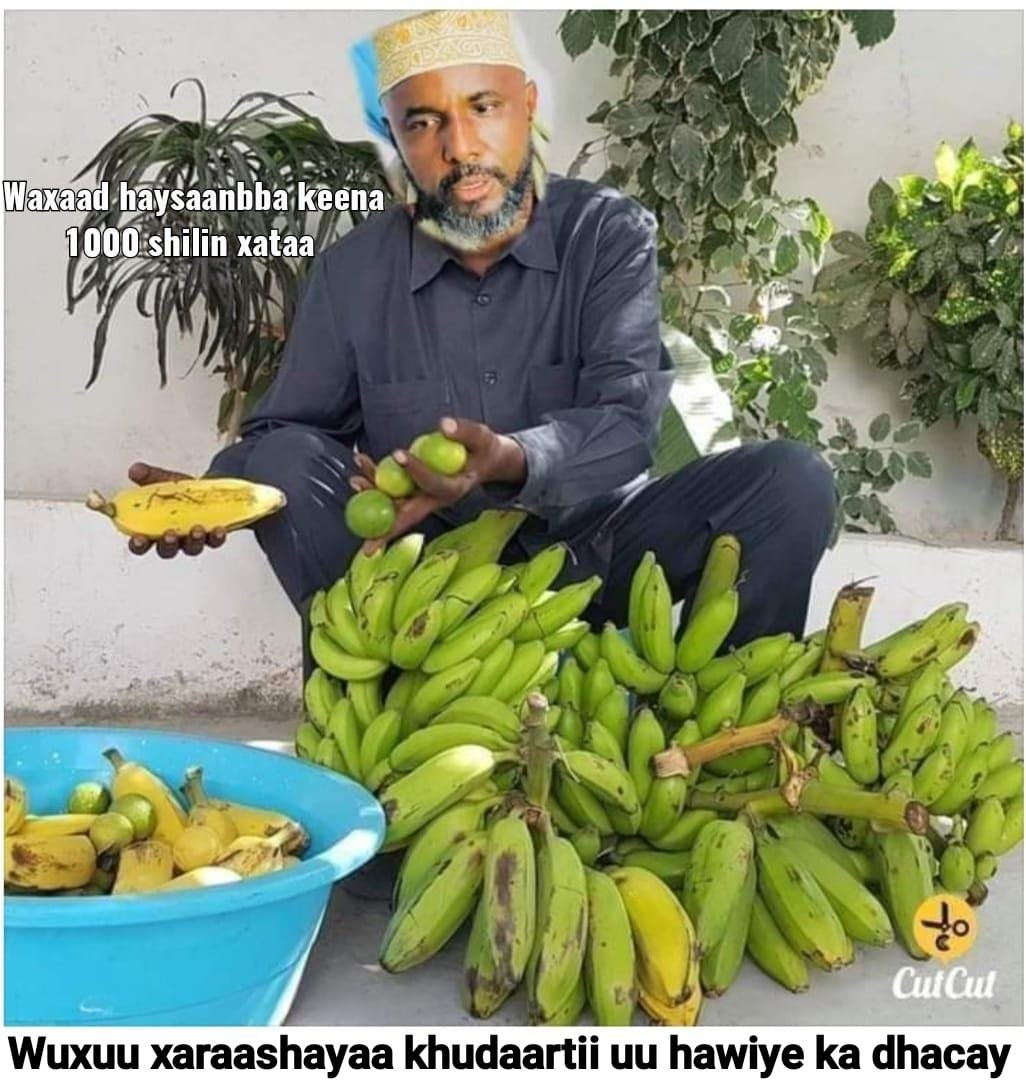 1679771248252.png