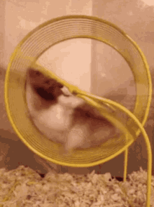 1681074304809.gif
