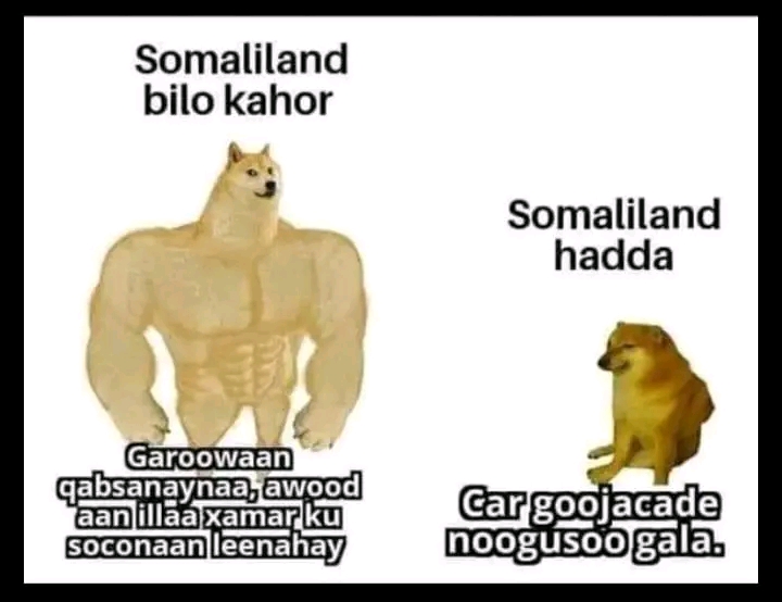 1681129238694.jpg