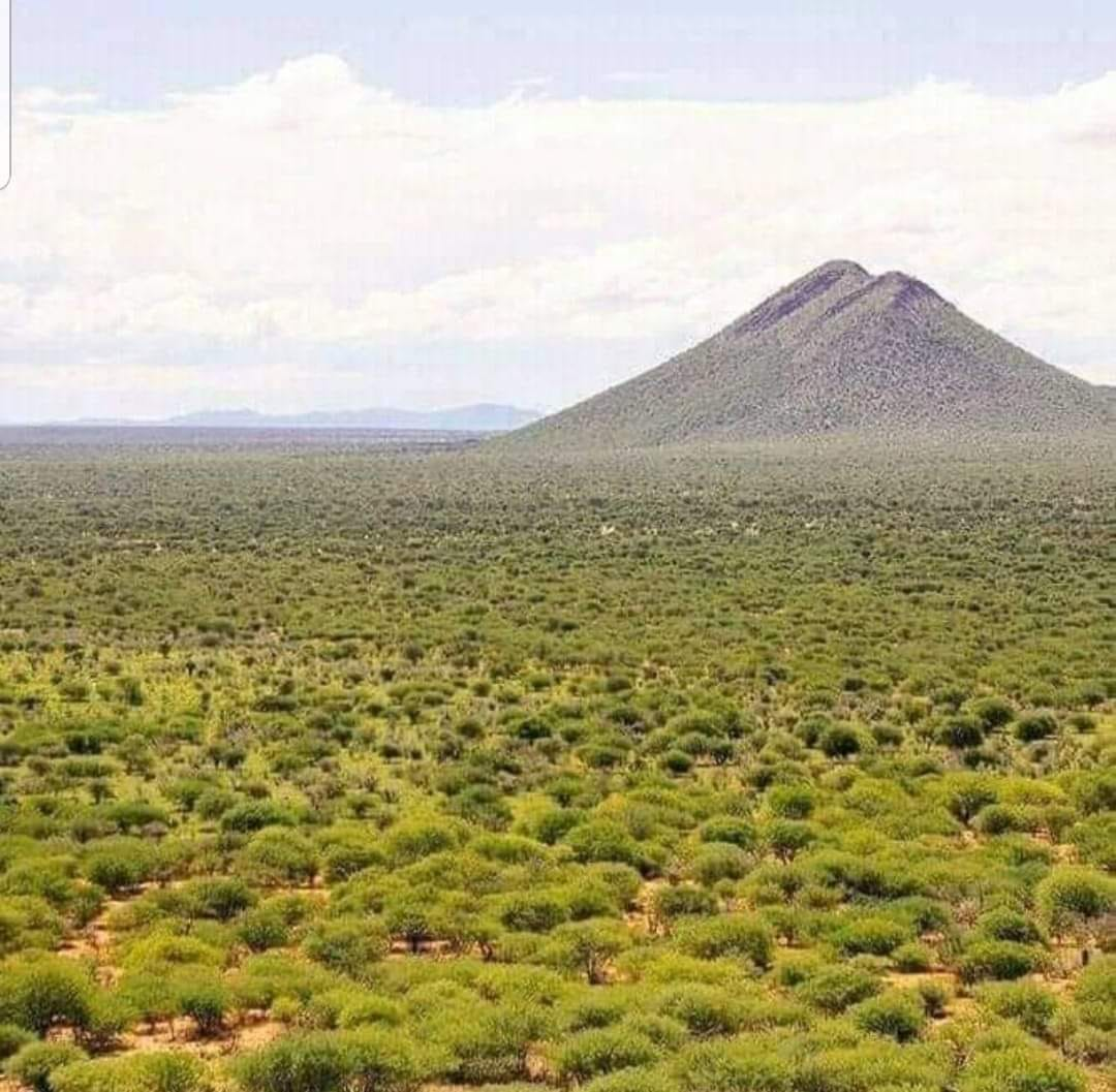 1682870459126.png