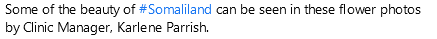 1683362916021.png