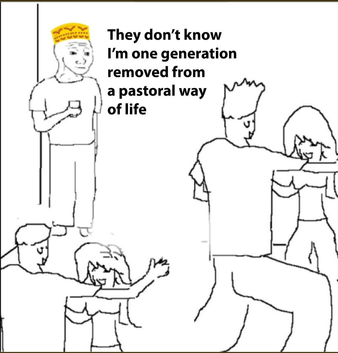 1686604914356.jpeg