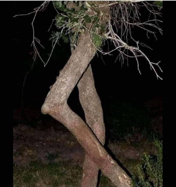 1687912378980.png