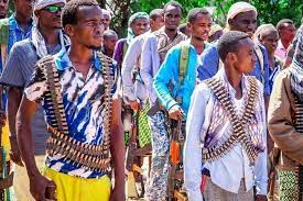 Beesha Makane ee dagan Beledweyne... - Hiiraan Community | Facebook