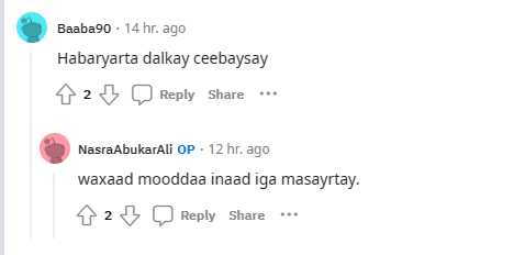 1691455052368.png