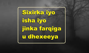 1691688435965.png