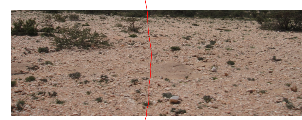 1692333580861.png