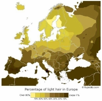 1694220970393.png
