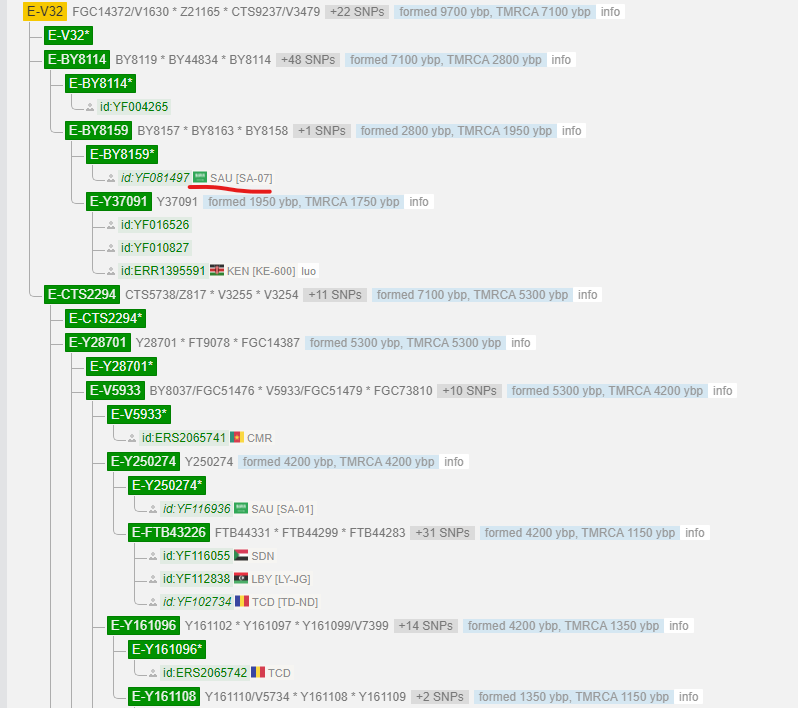 1696640026356.png