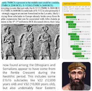 1697054943284.png