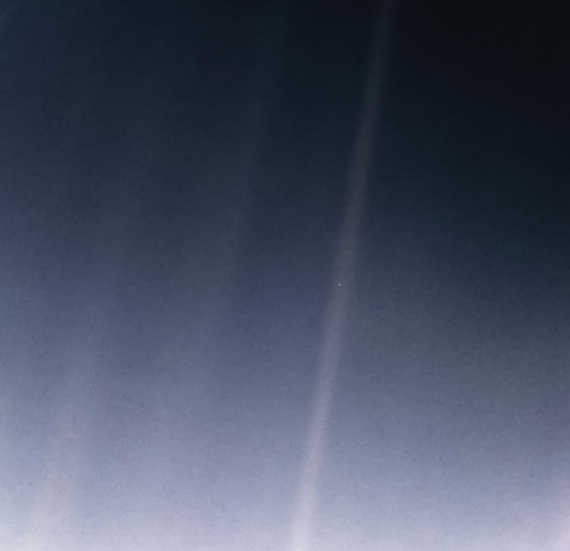 1698947816079.png