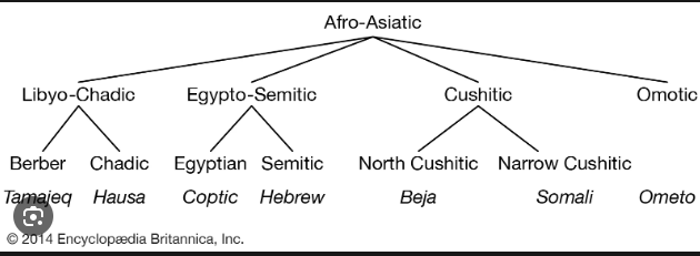 1700085307652.png