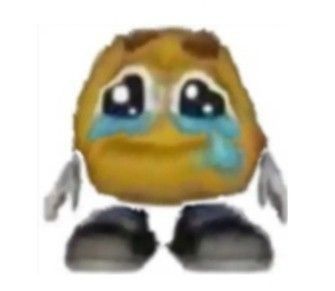 1700762255016.jpeg