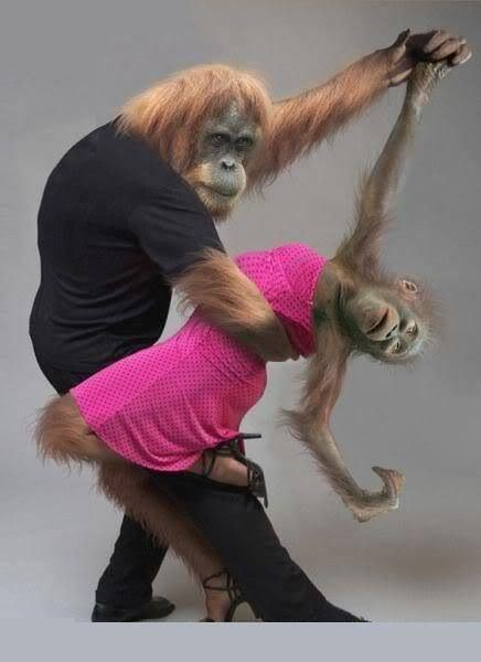 1701545521948.png