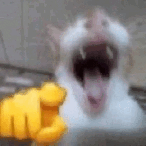 1702047351755.png