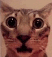 1702569555413.png