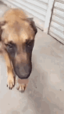 1704582333628.gif