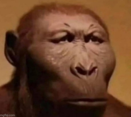 1704840391483.png