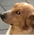 1705250338479.png