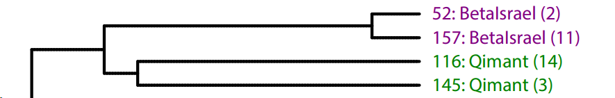 1706631027279.png