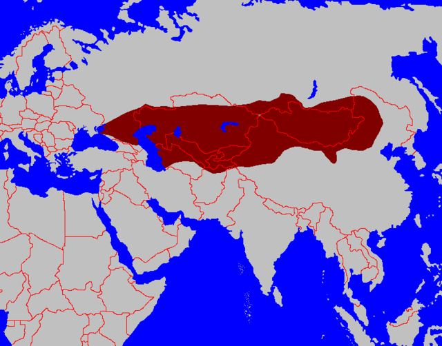 1706849937432.png
