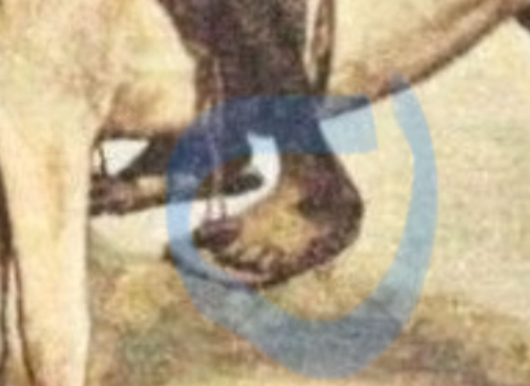 1707611468642.png