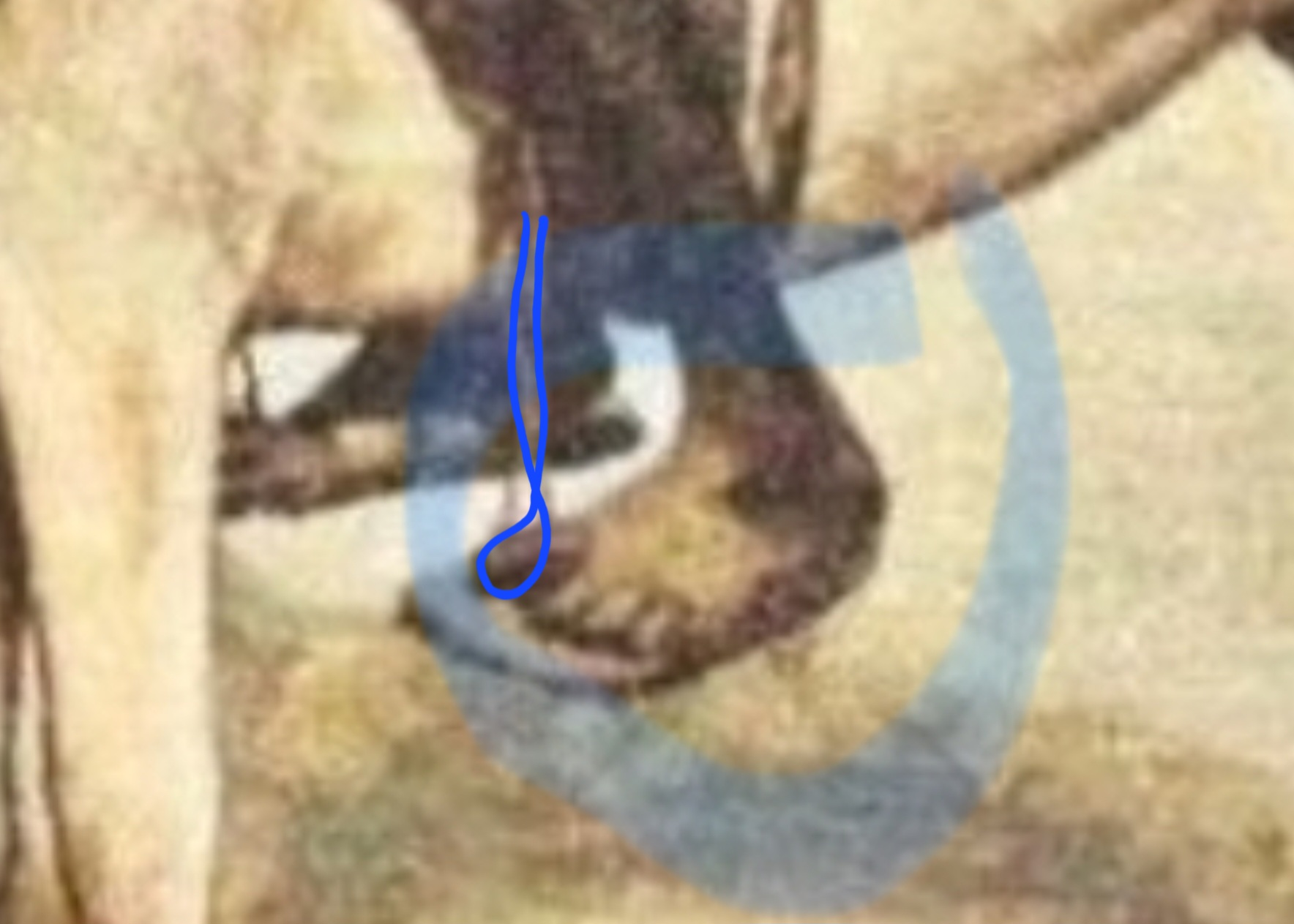 1707611505262.png