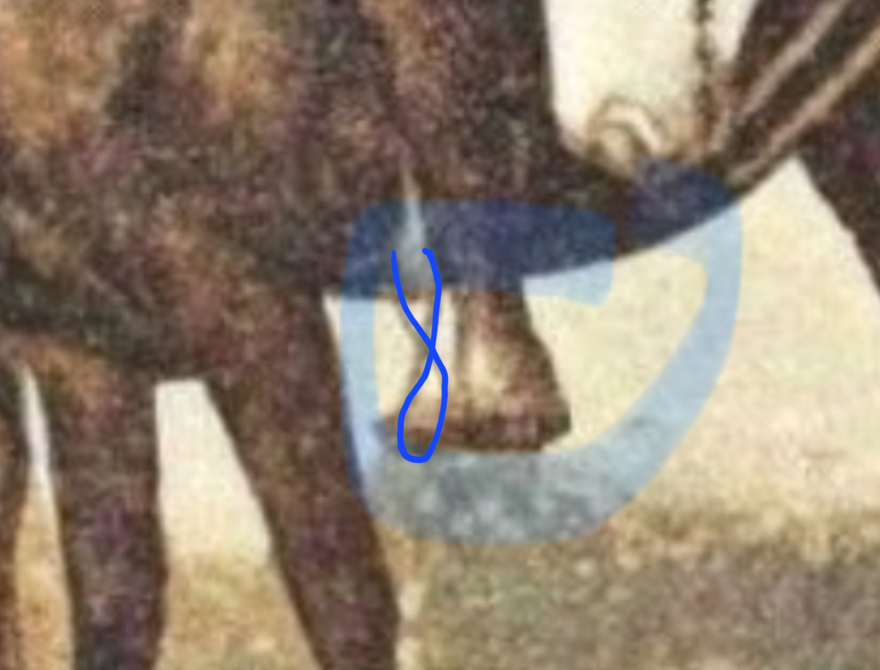 1707611562761.png