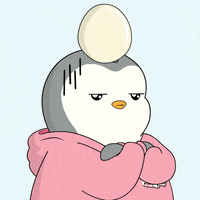 1708727155673.png