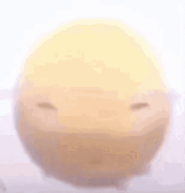 1708794062090.gif