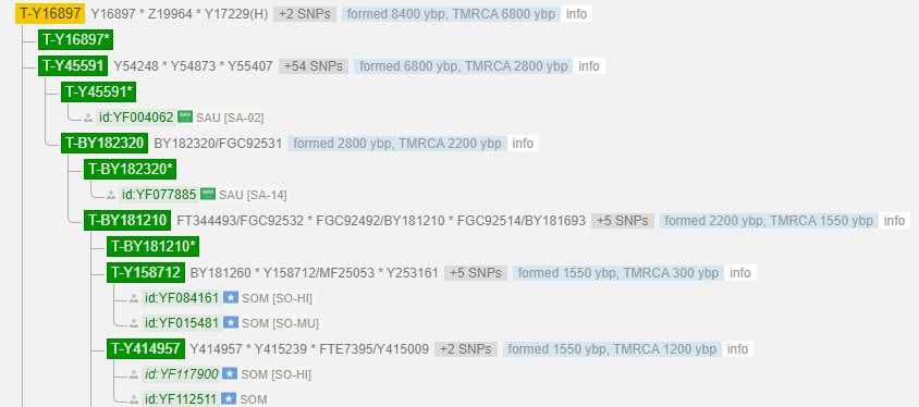 1709285901951.png