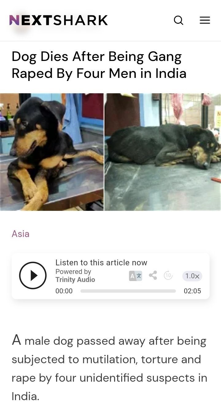 1709668291695.jpeg