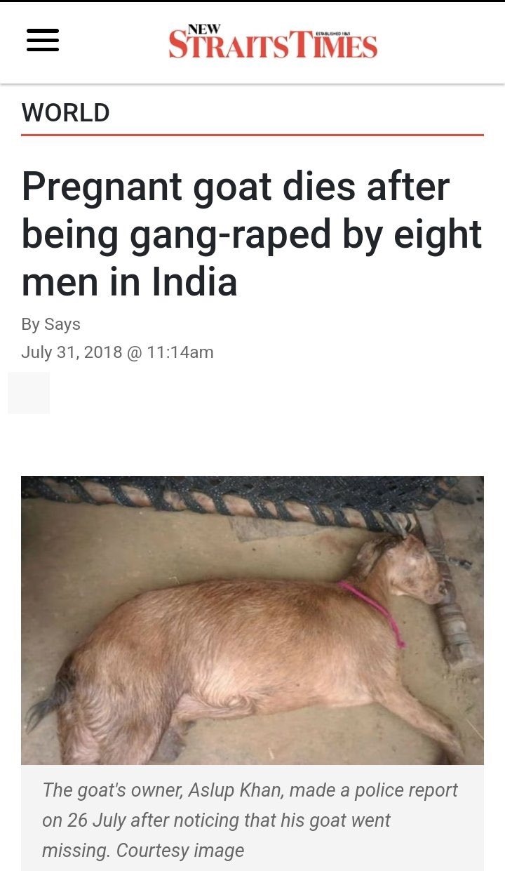 1709668296299.jpeg