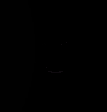 1710560080197.gif