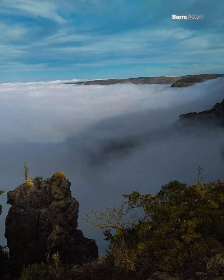 1711152525588.png