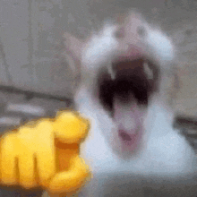 1711748279183.gif