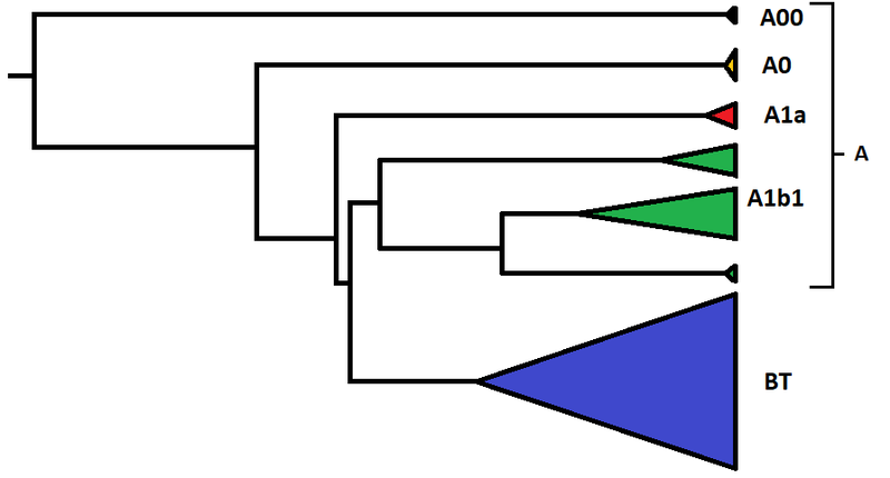 1713722447511.png