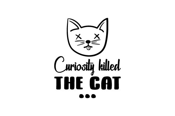 1715611698277.png