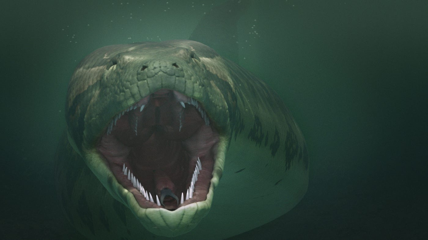 1718247810159.png